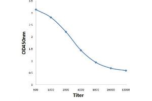 Antigen: 0. (Rubisco anticorps)