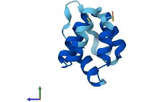 AlphaFold protein structure predicition of Human Recombinant PYDC1 Protein, UniprotID Q8WXC3