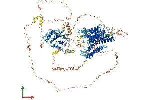 AlphaFold protein structure predicition of Human Recombinant SLC4A3 Protein, UniprotID P48751
