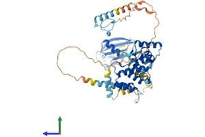 AlphaFold protein structure predicition of Mouse Recombinant Pnma3 Protein, UniprotID Q8JZW8