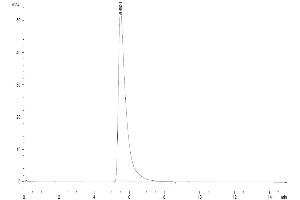 The purity of Human ACE2 is greater than 95 % as determined by SEC-HPLC