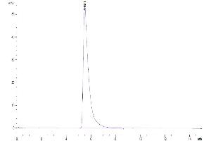 The purity of Human ACE2 is greater than 95 % as determined by SEC-HPLC (ACE2 Protein (His-Avi Tag))
