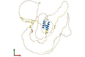 AlphaFold protein structure predicition of Mouse Recombinant Irx2 Protein, UniprotID P81066
