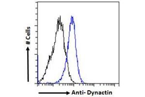 ABIN184834 Flow cytometric analysis of paraformaldehyde fixed HeLa cells (blue line), permeabilized with 0.