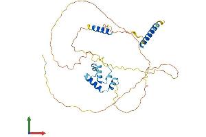 AlphaFold protein structure predicition of Human Recombinant CAAP1 Protein, UniprotID Q9H8G2