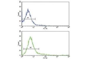 Flow cytometric analysis of Jurkat cells using CD45 antibody (bottom histogram) compared to a negative control cell (top histogram).