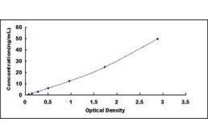 Fatty Acid Desaturase 1 (FADS1) ELISA Kit