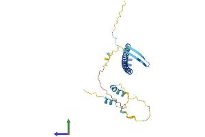 AlphaFold protein structure predicition of Human Recombinant NOL12 Protein, UniprotID Q9UGY1