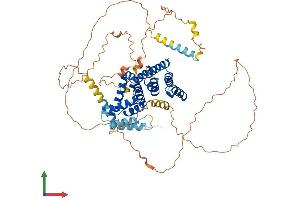 AlphaFold protein structure predicition of Mouse Recombinant Ctif Protein, UniprotID Q6PEE2