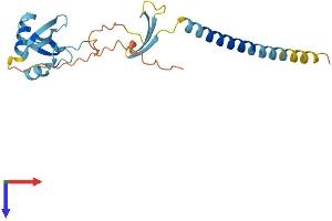 AlphaFold protein structure predicition of Mouse Recombinant Cideb Protein, UniprotID O70303