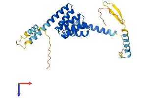 AlphaFold protein structure predicition of Human Recombinant TTC33 Protein, UniprotID Q6PID6