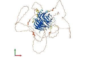 AlphaFold protein structure predicition of Human Recombinant DTL Protein, UniprotID Q9NZJ0