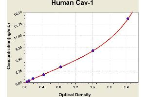 Diagramm of the ELISA kit to detect Human Cav-1with the optical density on the x-axis and the concentration on the y-axis. (Caveolin-1 Kit ELISA)