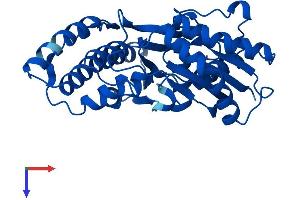 AlphaFold protein structure predicition of Mouse Recombinant Osgep Protein, UniprotID Q8BWU5