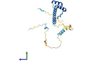 AlphaFold protein structure predicition of Mouse Recombinant Lbx2 Protein, UniprotID Q9WUN8