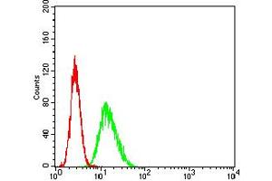Flow cytometric analysis of HeLa cells using ATP2A1 mouse mAb (green) and negative control (red).