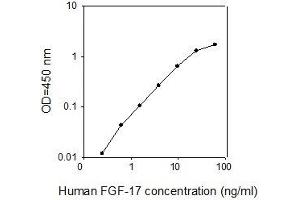 ELISA image for Fibroblast Growth Factor 17 (FGF17) ELISA Kit (ABIN2703008)