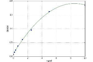 A typical standard curve (NAT8L Kit ELISA)