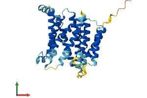 AlphaFold protein structure predicition of Human Recombinant SLC35A3 Protein, UniprotID Q9Y2D2