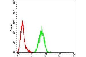 Flow cytometric analysis of Hela cells using SDHB mouse mAb (green) and negative control (red).