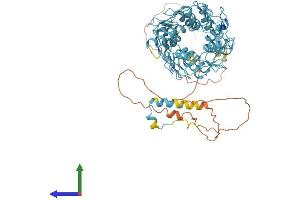 AlphaFold protein structure predicition of Human Recombinant ZNF442 Protein, UniprotID Q9H7R0