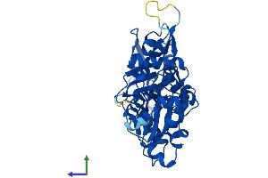 AlphaFold protein structure predicition of Mouse Recombinant Actb Protein, UniprotID P60710