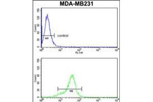 Flow cytometry analysis of MDA-MB231 cells (bottom histogram) compared to a negative control cell (top histogram).