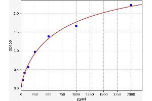Typical standard curve (CXCR1 Kit ELISA)