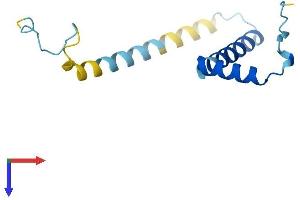 AlphaFold protein structure predicition of Mouse Recombinant Fam32a Protein, UniprotID Q9CR80