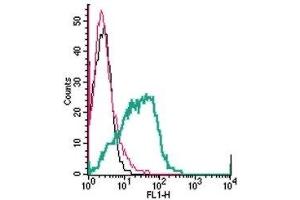 Cell surface detection of P2Y1 Receptor by direct flow cytometry in live intact human MEG-01 megakaryoblastic leukemia cells: (black line) Cells. (P2RY1 anticorps  (Extracellular, Loop 2) (FITC))