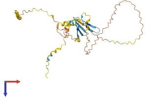 Proline Rich 23B (PRR23B) (AA 1-265) protein (His tag)