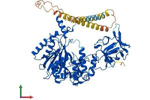 AlphaFold protein structure predicition of Human Recombinant GALNT8 Protein, UniprotID Q9NY28