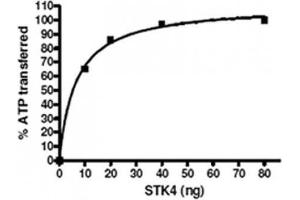 Activity Assay (AcA) image for Macrophage Stimulating 1 (Hepatocyte Growth Factor-Like) (MST1) (Active) protein (ABIN2669400)