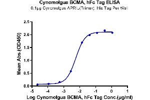 Immobilized Cynomolgus APRIL(Trimer), His Tag at 1 μg/mL (100 μL/well) on the plate.
