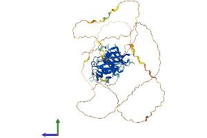 AlphaFold protein structure predicition of Human Recombinant SH3BP2 Protein, UniprotID P78314
