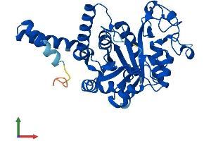 AlphaFold protein structure predicition of Mouse Recombinant Gde1 Protein, UniprotID Q9JL56