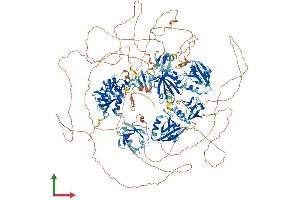 AlphaFold protein structure predicition of Human Recombinant MAGI2 Protein, UniprotID Q86UL8