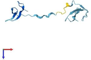 AlphaFold protein structure predicition of Mouse Recombinant Polr3k Protein, UniprotID Q9CQZ7