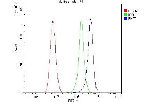 Flow Cytometry analysis of 293T cells using anti-FHIT antibody (ABIN5693307).