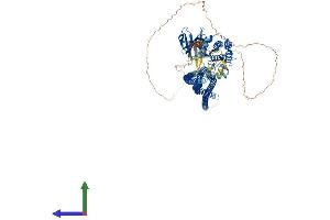 AlphaFold protein structure predicition of Mouse Recombinant Stk10 Protein, UniprotID O55098