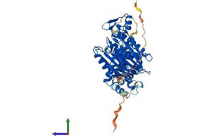 AlphaFold protein structure predicition of Human Recombinant PPM1F Protein, UniprotID P49593