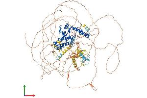 AlphaFold protein structure predicition of Human Recombinant OTUD4 Protein, UniprotID Q01804