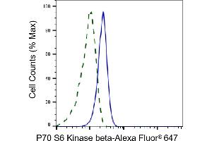 Validation of P70 S6 Kinase beta knockdown using flow cytometry.