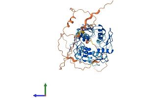 AlphaFold protein structure predicition of Human Recombinant ZNF79 Protein, UniprotID Q15937