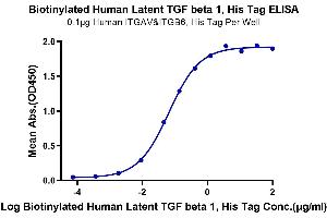 Latent TGF-beta 1 (AA 30-390) protein (His-Avi Tag,Biotin)