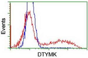 Image no. 6 for anti-Deoxythymidylate Kinase (Thymidylate Kinase) (DTYMK) antibody (ABIN1497918) (DTYMK anticorps)