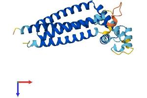 AlphaFold protein structure predicition of Mouse Recombinant Cd81 Protein, UniprotID P35762