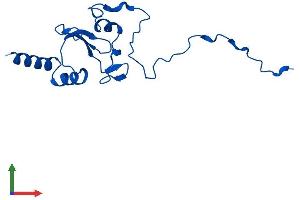 AlphaFold protein structure predicition of Mouse Recombinant Ndufa12 Protein, UniprotID Q7TMF3