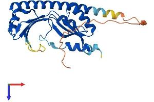 AlphaFold protein structure predicition of Mouse Recombinant Tyw3 Protein, UniprotID Q8BSA9