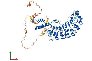 AlphaFold protein structure predicition of Mouse Recombinant Skp2 Protein, UniprotID Q9Z0Z3
